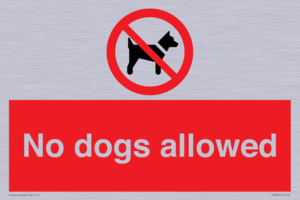 No dogs allowed